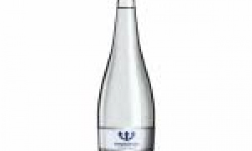 NEPTUNE, carbonated, 330 ml