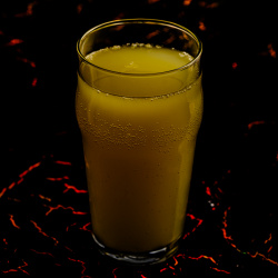 Naminė citrinų gira 0.5 ltr.