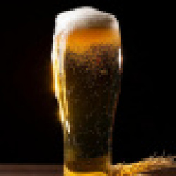 Alus Volfas Engelman porteris 5,0 5,68 (pinta)